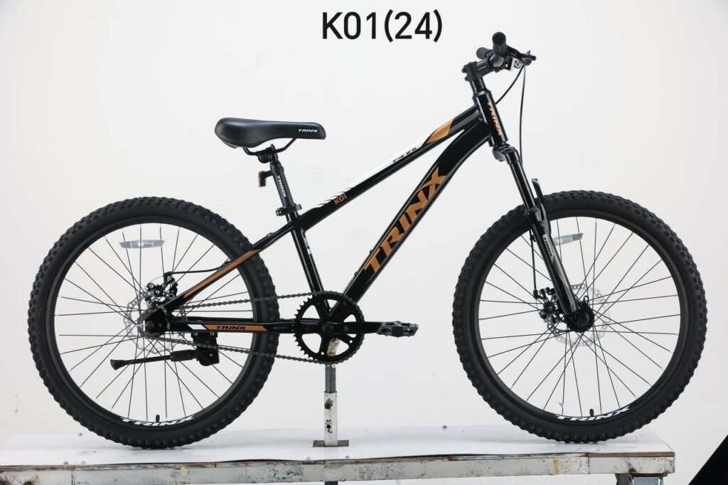 Trinx K01(24)